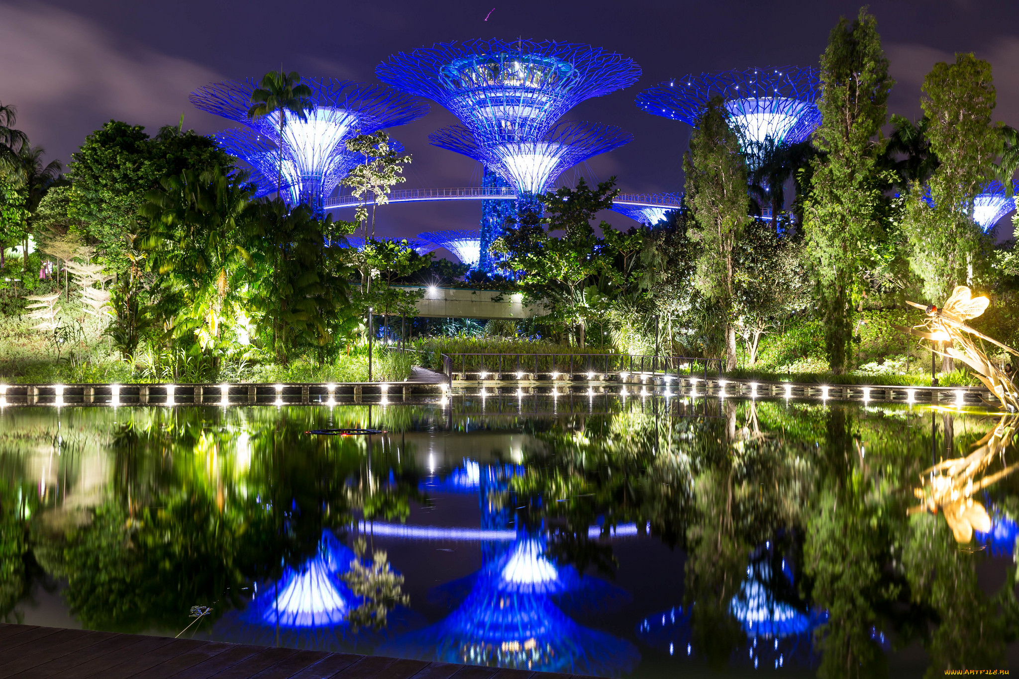 ,  , , , , singapore, night, lights